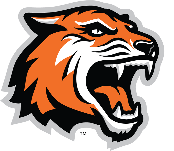 RIT Tigers 2004-Pres Alternate Logo v2 diy DTF decal sticker